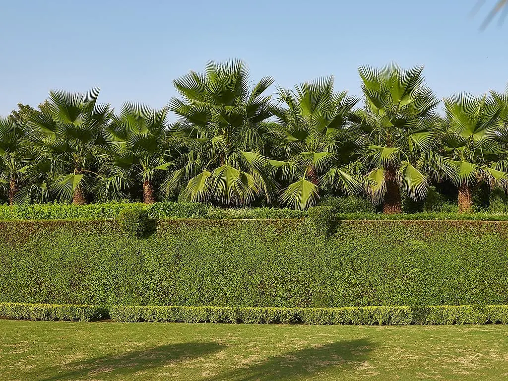Club Mahindra Kandaghat
